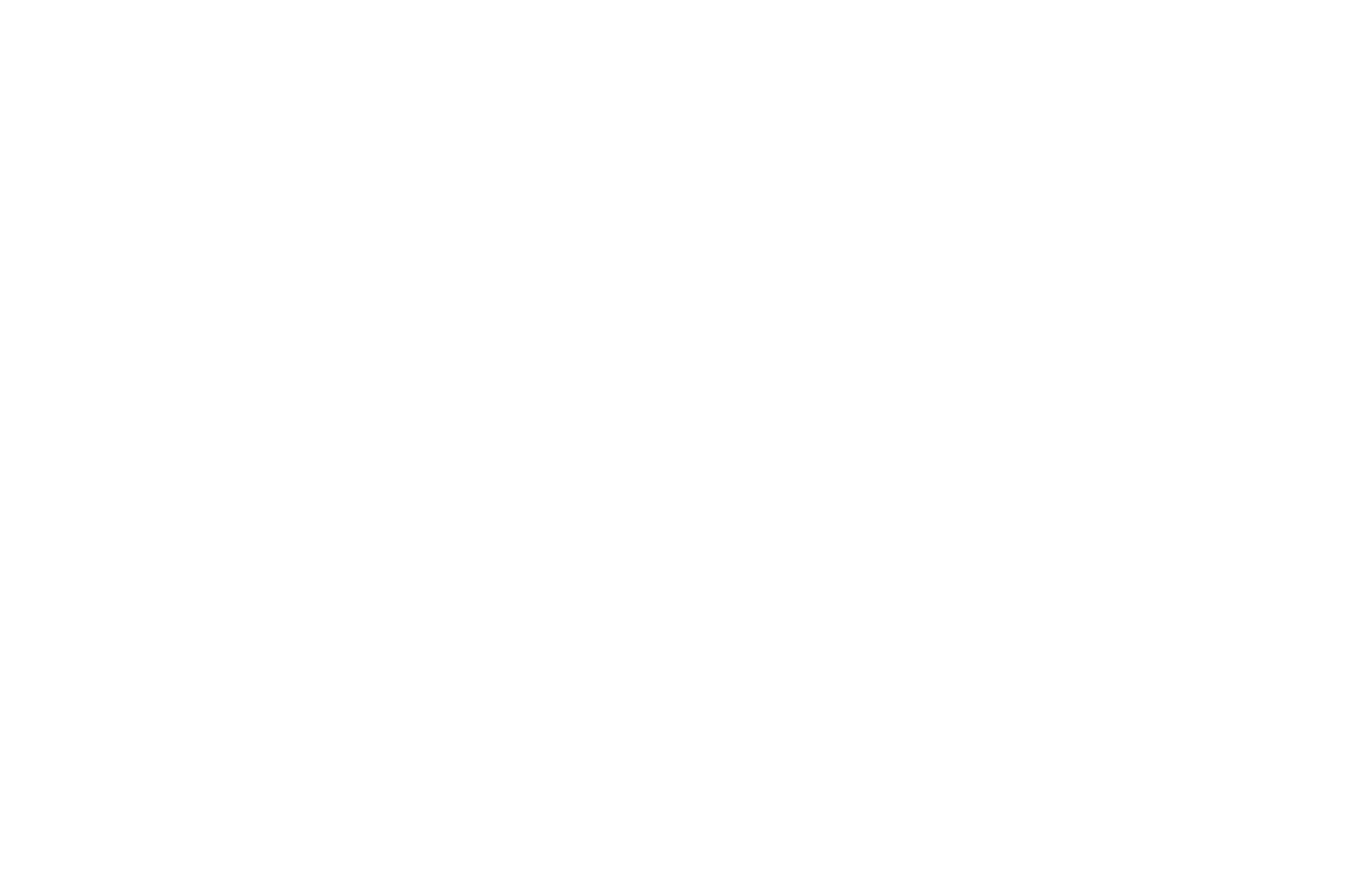 Insight Inventment logo