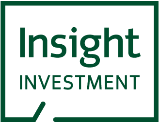 Insight logo