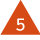 13381_RI-FI_Q322_Triangle_InsightRed.png