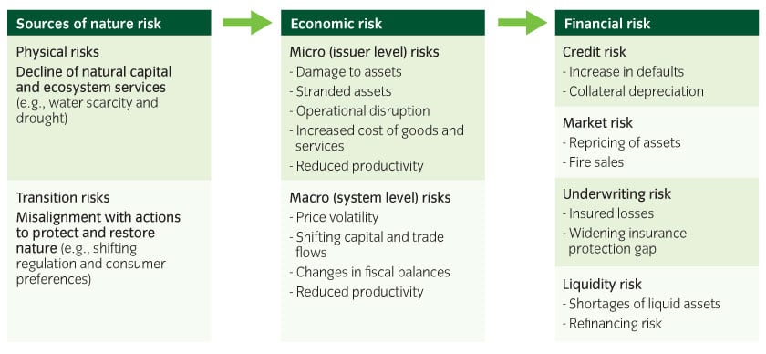 15970-Why nature matter for investment portfolios_840x300px.jpg