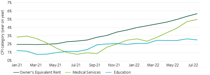 15472-InstantInsight_Chart1_10-08-22_840x300px.jpg