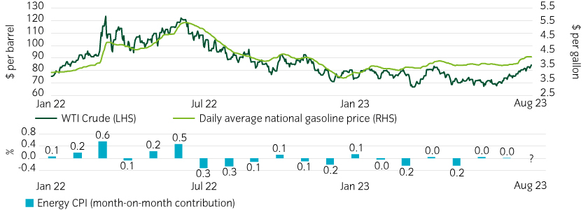 Recent energy price rises