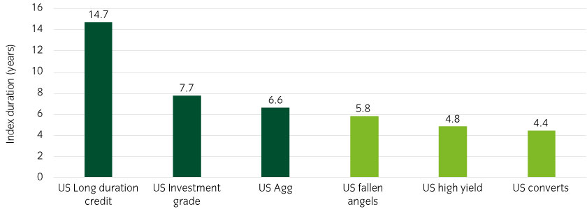 High yield and converts have lower duration risks than mainstream fixed income