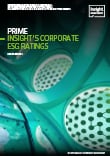 Corporate ESG ratings report